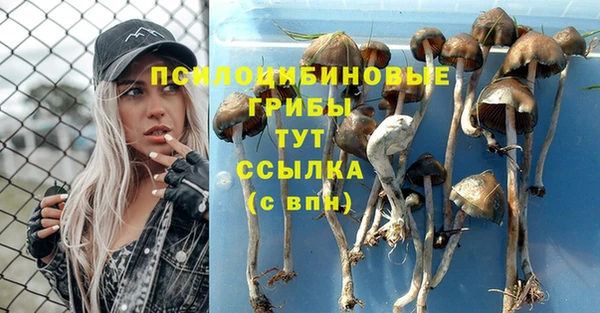 твердый Усинск