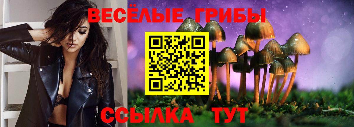 Псилоцибиновые грибы Psilocybe  Галлюциногенные грибы мухоморы  Бузулук  Вход с VPN 